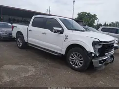 1FTFW3L82RFB31081 2024 FORD F-150