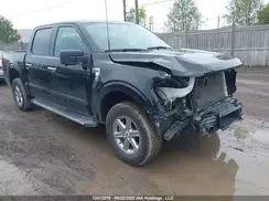 1FTFW3L82RKE02213 2024 FORD F-150