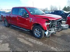 1FTFW3L82RKF68361 2024 FORD F-150