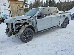 1FTFW3L83RFC25387 2024 FORD F-150