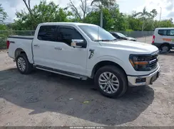 1FTFW3L83RKE37813 2024 FORD F-150