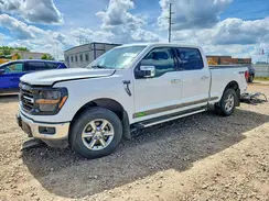 1FTFW3L83RKE54692 2024 FORD F-150