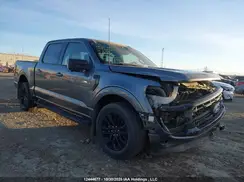 1FTFW3L84RFA50602 2024 FORD F-150
