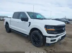 1FTFW3L84RFB57262 2024 FORD F-150