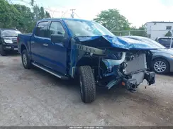 1FTFW3L84RKE46309 2024 FORD F-150