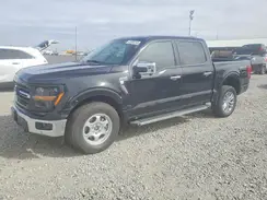 1FTFW3L84RKE71291 2024 FORD F-150