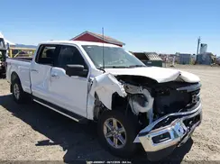 1FTFW3L84RKF66952 2024 FORD F-150