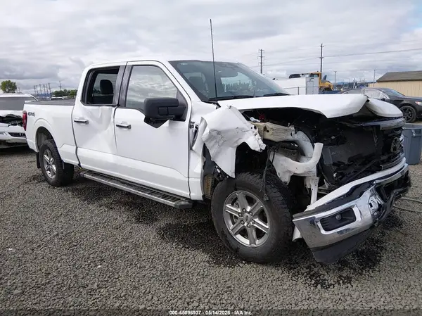 1FTFW3L84RKF66952 2024 FORD F-150 - Image 1