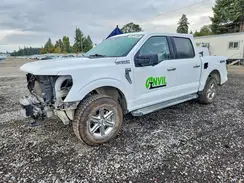 1FTFW3L84RKF67163 2024 FORD F-150