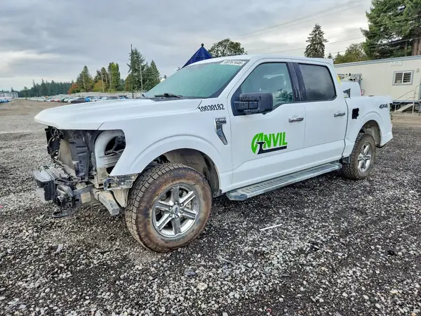 1FTFW3L84RKF67163 2024 FORD F-150 - Image 1