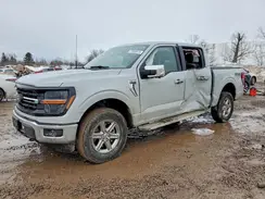 1FTFW3L84RKF71004 2024 FORD F-150