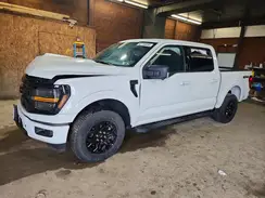 1FTFW3L85RKD21559 2024 FORD F-150