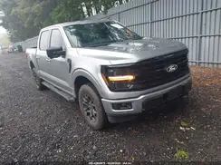 1FTFW3L85RKD58479 2024 FORD F-150