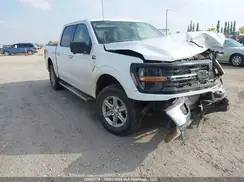 1FTFW3L85RKD62385 2024 FORD F-150
