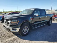1FTFW3L85RKE04442 2024 FORD F-150