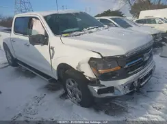 1FTFW3L86RKD64761 2024 FORD F-150