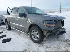 1FTFW3L86RKD64890 2024 FORD F-150