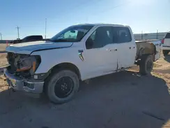 1FTFW3L86RKD71175 2024 FORD F-150