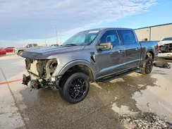 1FTFW3L86RKE87895 2024 FORD F-150
