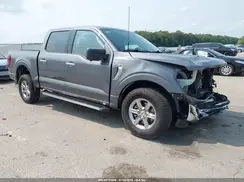 1FTFW3L86RKF79962 2024 FORD F-150