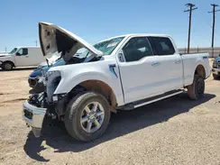 1FTFW3L87RFA21627 2024 FORD F-150