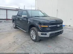 1FTFW3L87RKD65806 2024 FORD F-150