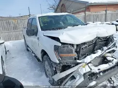 1FTFW3L87RKE00196 2024 FORD F-150