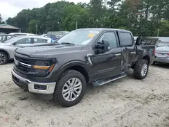 1FTFW3L88RFB25091 2024 FORD F-150