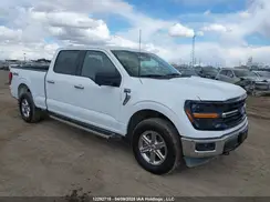 1FTFW3L88RKD83618 2024 FORD F-150