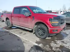 1FTFW3L88RKD84185 2024 FORD F-150