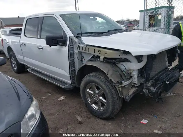 1FTFW3L88RKE02670 2024 FORD F-150 - Image 1