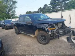 1FTFW3L88RKE32428 2024 FORD F-150