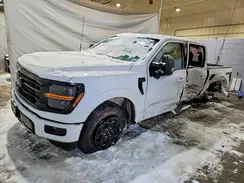 1FTFW3L88RKF62032 2024 FORD F-150