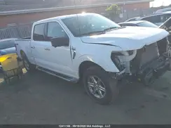 1FTFW3L89RKE03150 2024 FORD F-150