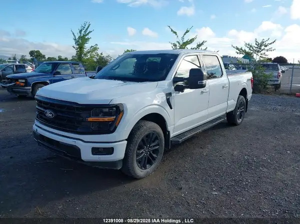 1FTFW3L8XRFB26727 2024 FORD F-150 - Image 2
