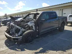 1FTFW3L8XRKD12548 2024 FORD F-150