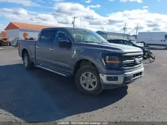 1FTFW3L8XRKD19953 2024 FORD F-150