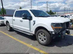 1FTFW3L8XRKD33206 2024 FORD F-150
