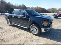 1FTFW3L8XRKF14502 2024 FORD F-150