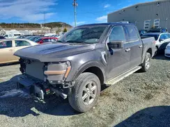 1FTFW3L8XSKD12278 2025 FORD F-150