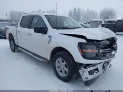 1FTFW3L8XSKD84193 2025 FORD F-150