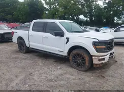 1FTFW3LD0RFA01023 2024 FORD F-150