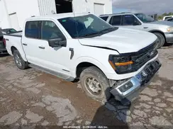 1FTFW3LD0RFA06447 2024 FORD F-150