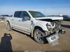 1FTFW3LD0RFA43708 2024 FORD F-150