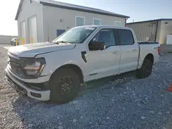1FTFW3LD0RFA56023 2024 FORD F-150