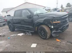 1FTFW3LD0RFB76176 2024 FORD F-150