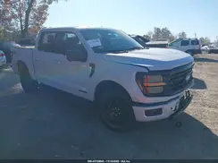 1FTFW3LD0SFB73462 2025 FORD F-150