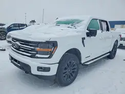 1FTFW3LD0SFB91329 2025 FORD F-150