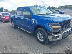 1FTFW3LD1RFA24956 2024 FORD F-150