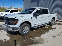 1FTFW3LD1RFA25203 2024 FORD F-150